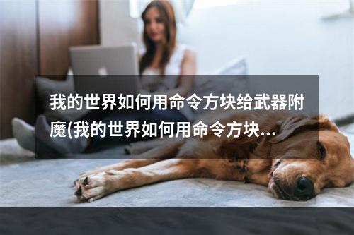 我的世界如何用命令方块给武器附魔(我的世界如何用命令方块获得附魔武器)