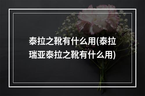 泰拉之靴有什么用(泰拉瑞亚泰拉之靴有什么用)