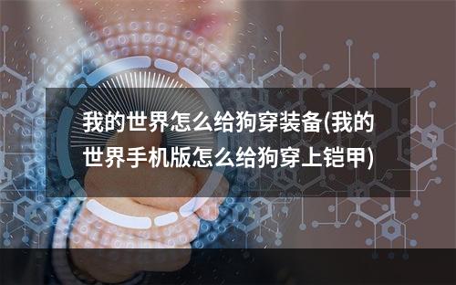 我的世界怎么给狗穿装备(我的世界手机版怎么给狗穿上铠甲)