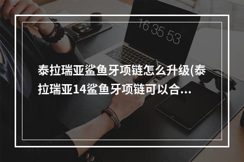 泰拉瑞亚鲨鱼牙项链怎么升级(泰拉瑞亚14鲨鱼牙项链可以合成什么)