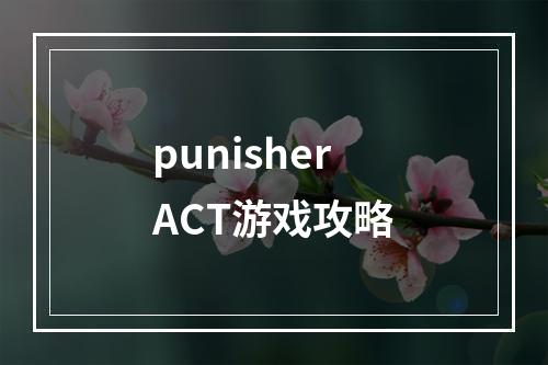 punisherACT游戏攻略