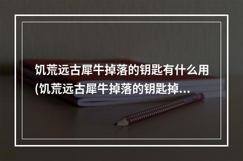 饥荒远古犀牛掉落的钥匙有什么用(饥荒远古犀牛掉落的钥匙掉了怎么办)