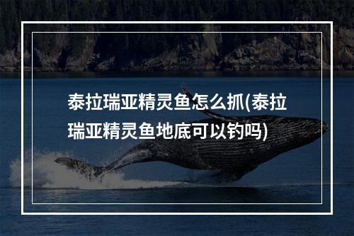 泰拉瑞亚精灵鱼怎么抓(泰拉瑞亚精灵鱼地底可以钓吗)