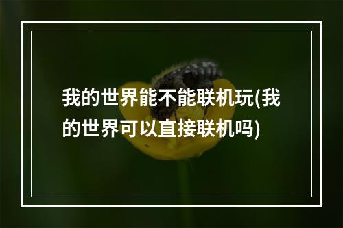 我的世界能不能联机玩(我的世界可以直接联机吗)