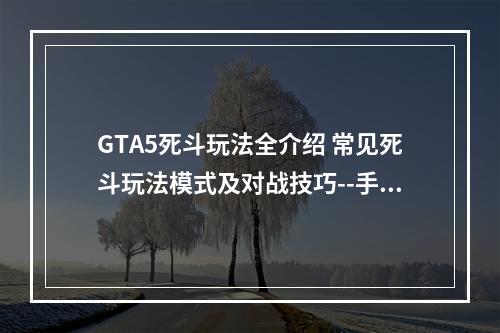 GTA5死斗玩法全介绍 常见死斗玩法模式及对战技巧--手游攻略网