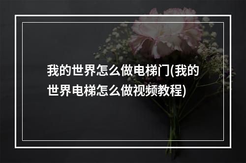 我的世界怎么做电梯门(我的世界电梯怎么做视频教程)