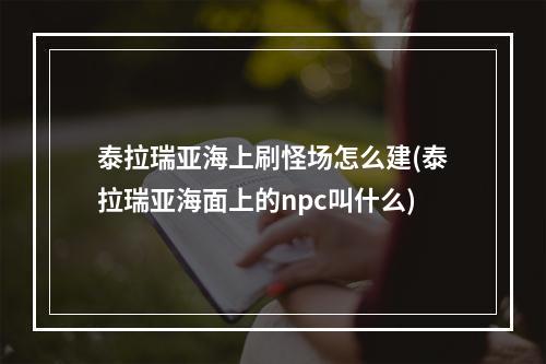 泰拉瑞亚海上刷怪场怎么建(泰拉瑞亚海面上的npc叫什么)