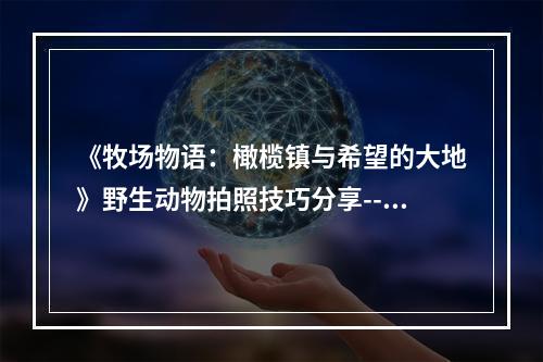 《牧场物语：橄榄镇与希望的大地》野生动物拍照技巧分享--游戏攻略网