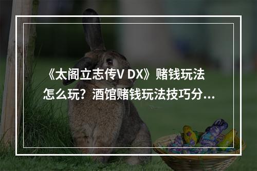 《太阁立志传V DX》赌钱玩法怎么玩？酒馆赌钱玩法技巧分享--游戏攻略网