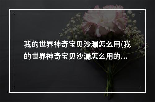 我的世界神奇宝贝沙漏怎么用(我的世界神奇宝贝沙漏怎么用的)