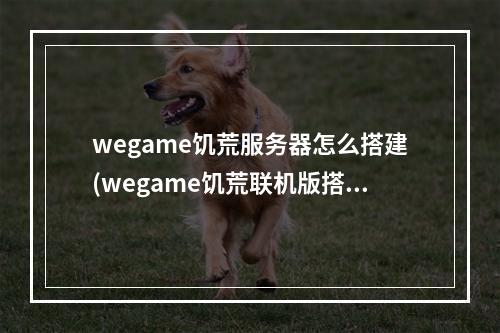 wegame饥荒服务器怎么搭建(wegame饥荒联机版搭建服务器教程)