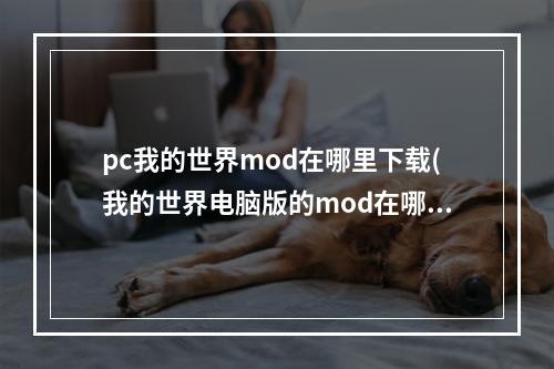 pc我的世界mod在哪里下载(我的世界电脑版的mod在哪下载)