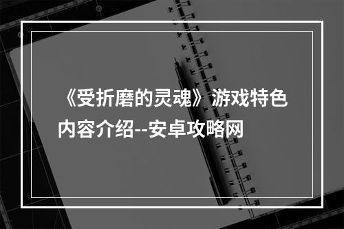 《受折磨的灵魂》游戏特色内容介绍--安卓攻略网