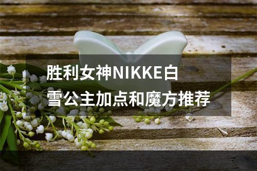 胜利女神NIKKE白雪公主加点和魔方推荐