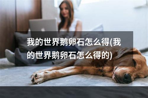 我的世界鹅卵石怎么得(我的世界鹅卵石怎么得的)