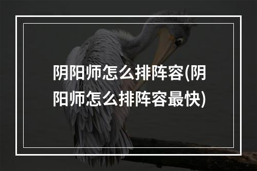 阴阳师怎么排阵容(阴阳师怎么排阵容最快)