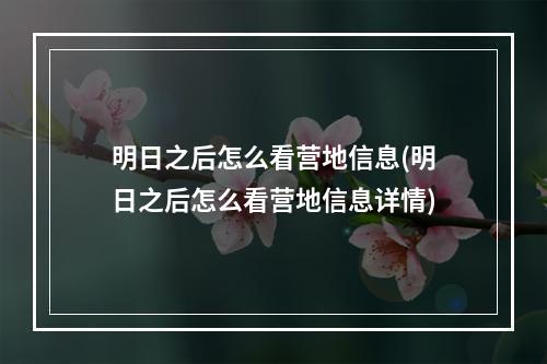 明日之后怎么看营地信息(明日之后怎么看营地信息详情)