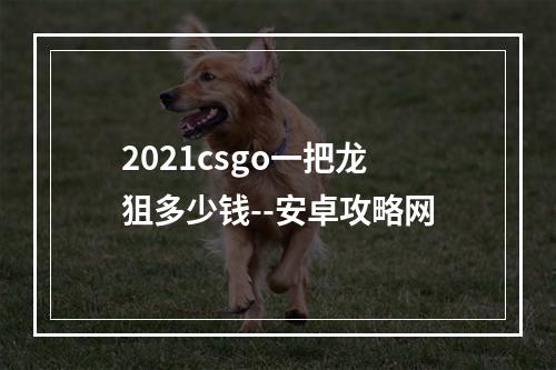 2021csgo一把龙狙多少钱--安卓攻略网