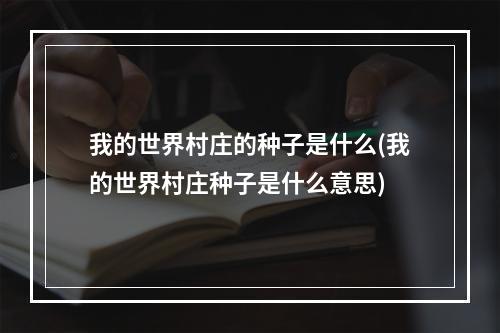 我的世界村庄的种子是什么(我的世界村庄种子是什么意思)