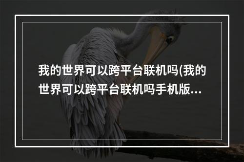 我的世界可以跨平台联机吗(我的世界可以跨平台联机吗手机版)