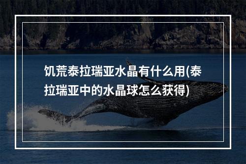 饥荒泰拉瑞亚水晶有什么用(泰拉瑞亚中的水晶球怎么获得)