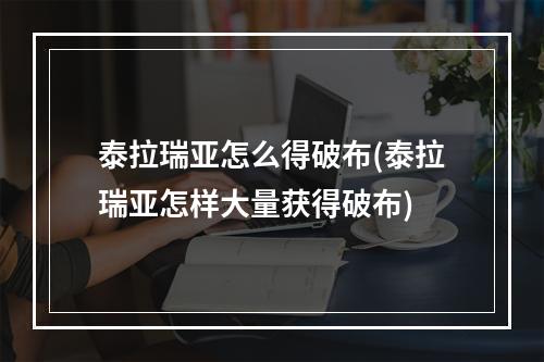 泰拉瑞亚怎么得破布(泰拉瑞亚怎样大量获得破布)