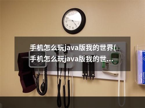 手机怎么玩java版我的世界(手机怎么玩java版我的世界地图)