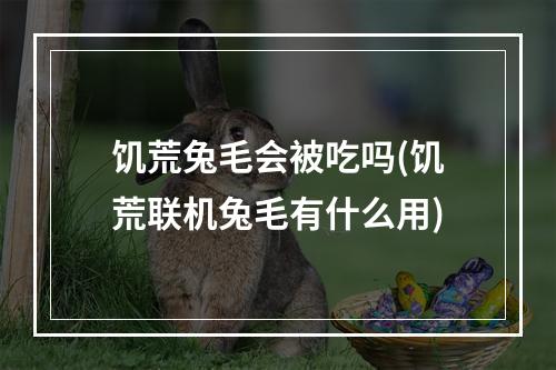 饥荒兔毛会被吃吗(饥荒联机兔毛有什么用)