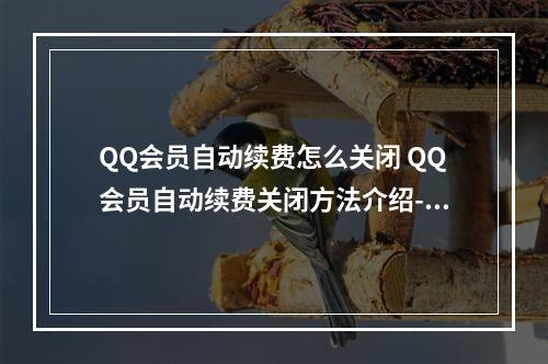 QQ会员自动续费怎么关闭 QQ会员自动续费关闭方法介绍--安卓攻略网