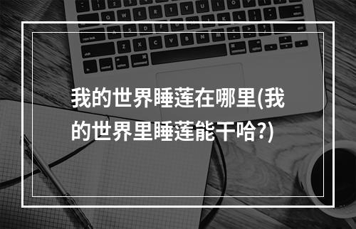 我的世界睡莲在哪里(我的世界里睡莲能干哈?)