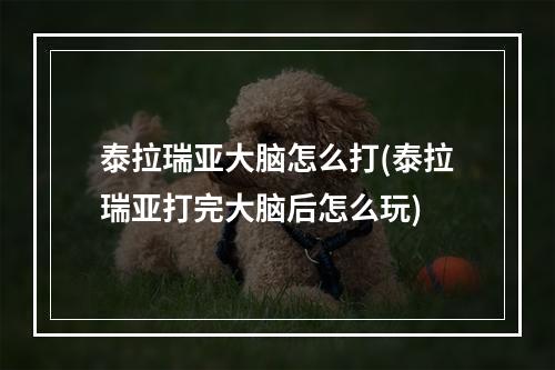 泰拉瑞亚大脑怎么打(泰拉瑞亚打完大脑后怎么玩)