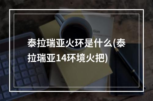 泰拉瑞亚火环是什么(泰拉瑞亚14环境火把)