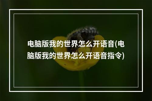 电脑版我的世界怎么开语音(电脑版我的世界怎么开语音指令)