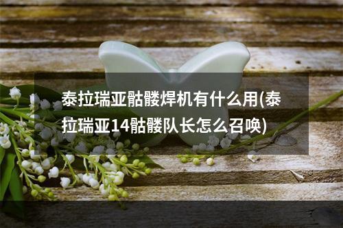 泰拉瑞亚骷髅焊机有什么用(泰拉瑞亚14骷髅队长怎么召唤)