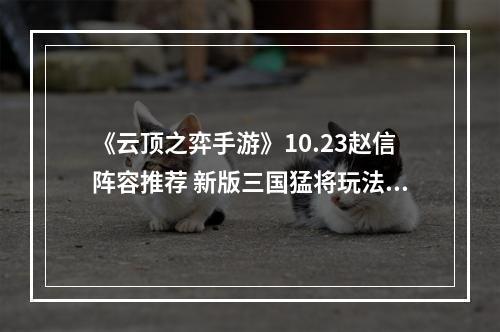 《云顶之弈手游》10.23赵信阵容推荐 新版三国猛将玩法攻略--安卓攻略网