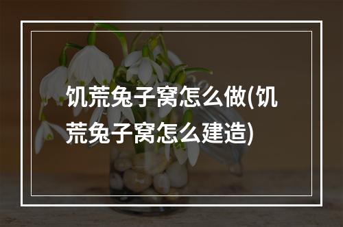 饥荒兔子窝怎么做(饥荒兔子窝怎么建造)