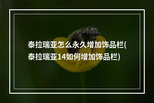 泰拉瑞亚怎么永久增加饰品栏(泰拉瑞亚14如何增加饰品栏)