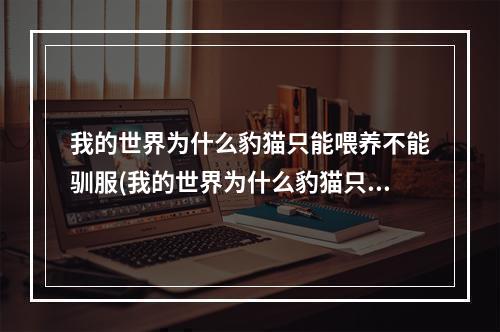 我的世界为什么豹猫只能喂养不能驯服(我的世界为什么豹猫只能喂养不能驯服动物)