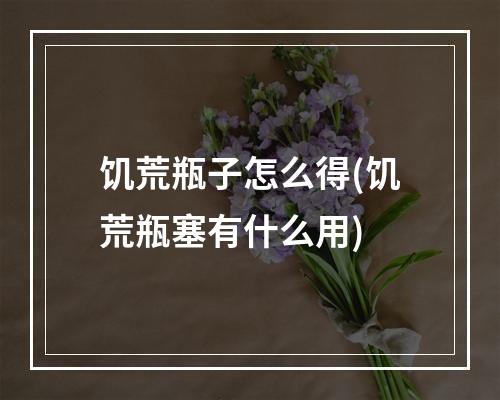 饥荒瓶子怎么得(饥荒瓶塞有什么用)