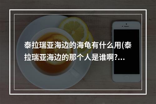 泰拉瑞亚海边的海龟有什么用(泰拉瑞亚海边的那个人是谁啊?)