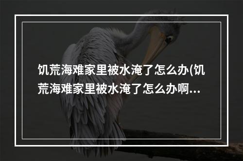 饥荒海难家里被水淹了怎么办(饥荒海难家里被水淹了怎么办啊)