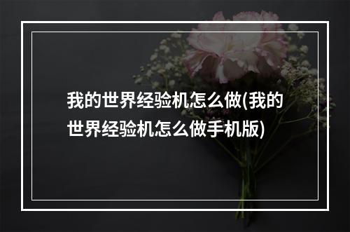 我的世界经验机怎么做(我的世界经验机怎么做手机版)