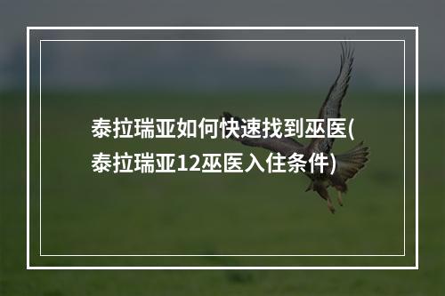 泰拉瑞亚如何快速找到巫医(泰拉瑞亚12巫医入住条件)