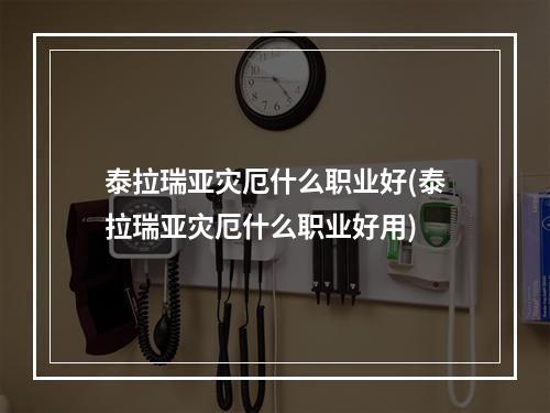 泰拉瑞亚灾厄什么职业好(泰拉瑞亚灾厄什么职业好用)