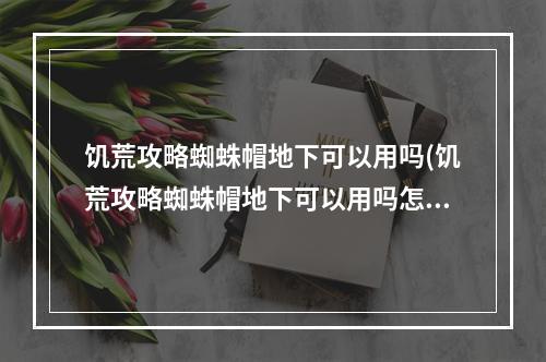 饥荒攻略蜘蛛帽地下可以用吗(饥荒攻略蜘蛛帽地下可以用吗怎么获得)