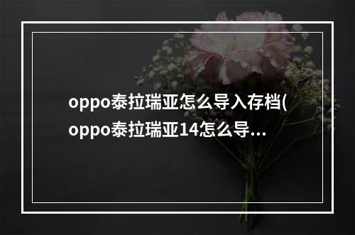 oppo泰拉瑞亚怎么导入存档(oppo泰拉瑞亚14怎么导入存档)