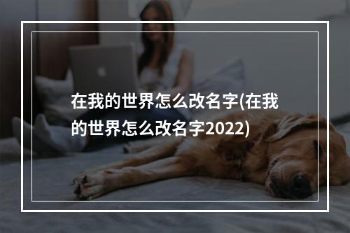 在我的世界怎么改名字(在我的世界怎么改名字2022)