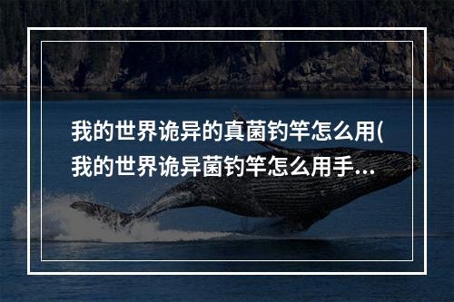 我的世界诡异的真菌钓竿怎么用(我的世界诡异菌钓竿怎么用手机版)