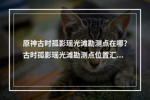 原神古时孤影瑶光滩勘测点在哪？古时孤影瑶光滩勘测点位置汇总[多图]--游戏攻略网