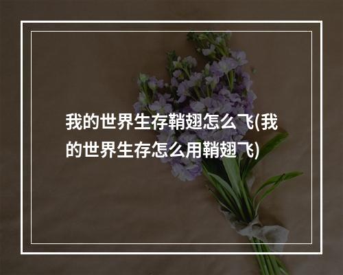 我的世界生存鞘翅怎么飞(我的世界生存怎么用鞘翅飞)